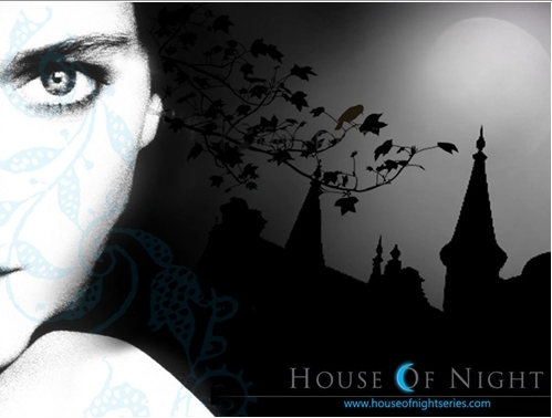  house of night 墙 paper