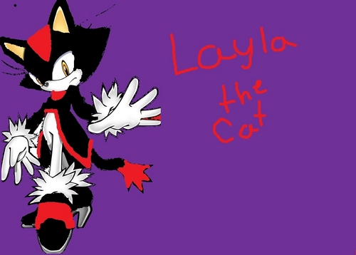  layla the cat