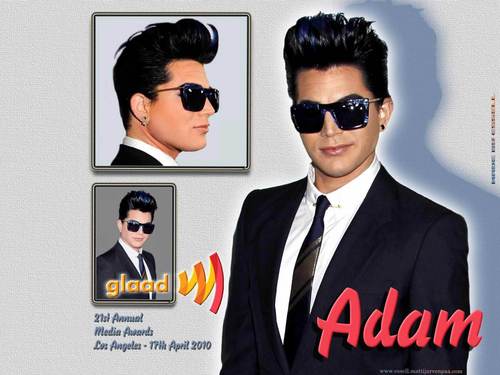 Adam GLAAD Wallpaper