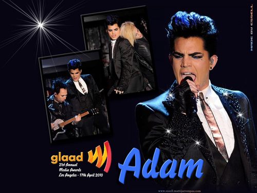 Adam GLAAD Wallpaper