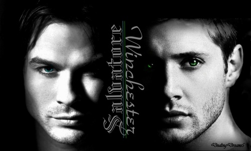 Damon & Dean wallpaper