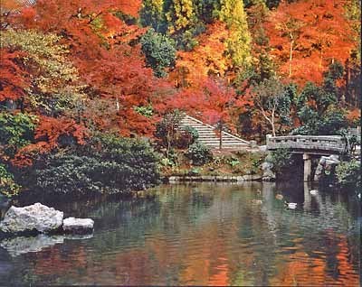  Kyoto Nhật Bản