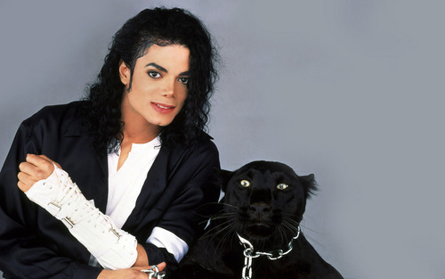  Michael's pets