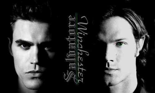  Stefan & Sam দেওয়ালপত্র