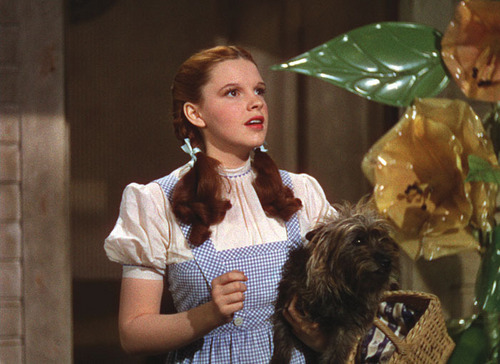  Toto and Dorothy