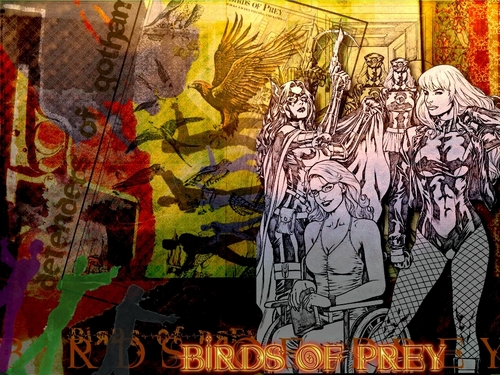  Birds of Prey