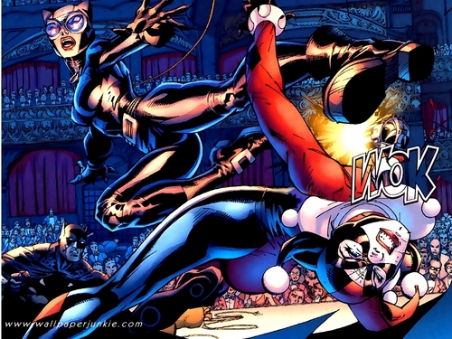  Catwoman VS Harley Quinn