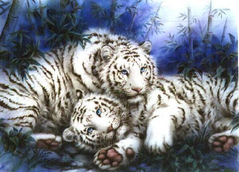 Combining some of your favourite things,tigers,Angels and babies!