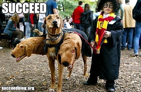  Harry Potter fun :)