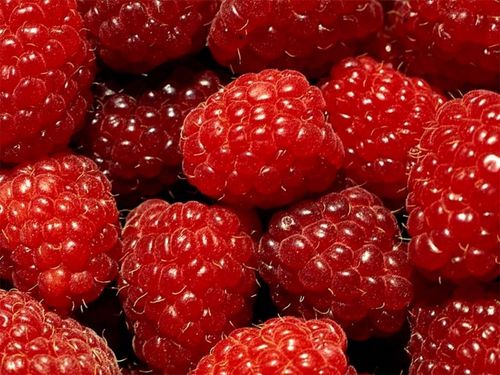  Red frutas