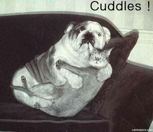  Cuddles !