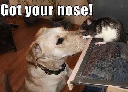  Got your nose !