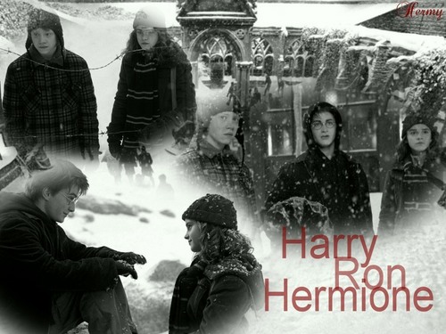  Harry,Ron and Hermione kertas-kertas dinding