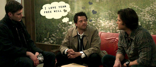  I Amore Team Free Will