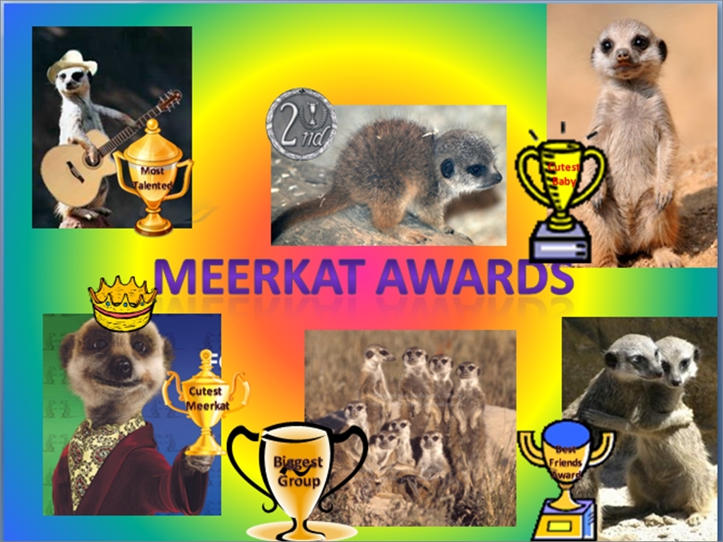 Meerkat Awards!