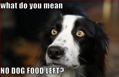  No Dog Makanan ??