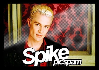 Spike picspam