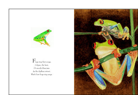  painted frogs