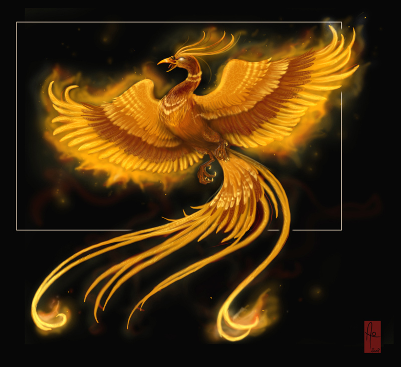 phoenix - anime animal bức ảnh (11714453) - fanpop
