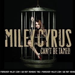  "Can't be Tamed" Cover Album