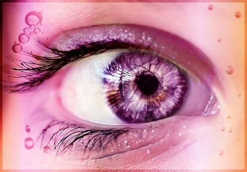  Purple Eye