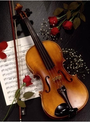  랜덤 Violins