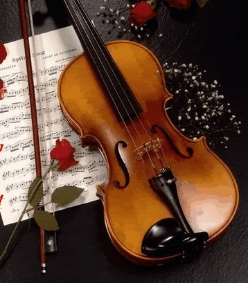  aleatório Violins