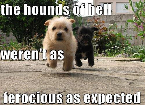  Hounds of Hell.........lol !