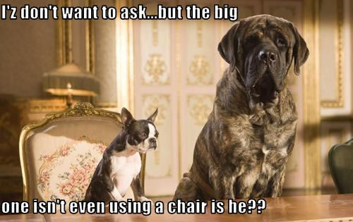  I’z don’t want to ask…but the big one isn’t even using a chair is he??