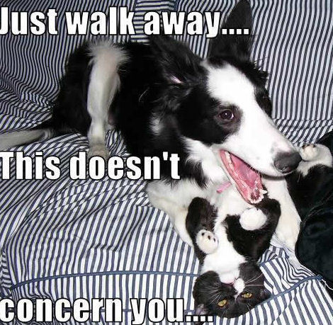  Just walk away…. This doesn’t concern you….
