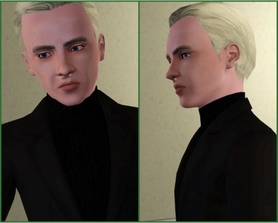  Miscellaneous > The Sims 3 character
