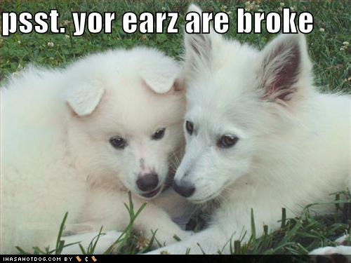  Psst..Your ears are broke !!