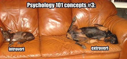  Psychology 101 concepts #3: