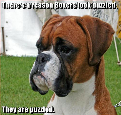 Puzzled !