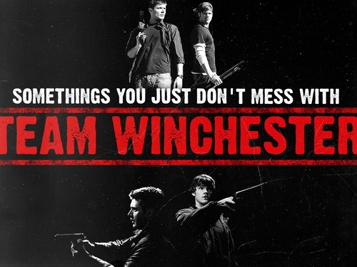  Team Winchester