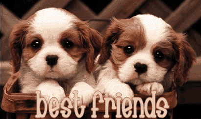 Best Friends,Animated