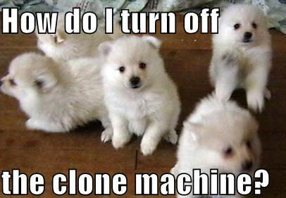 Turn off the clone machine !
