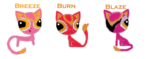  breeze, burn, and blaze as 猫