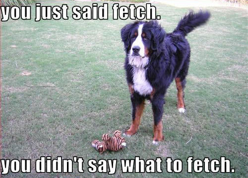  bạn just đã đưa ý kiến fetch. bạn didn’t say what to fetch.