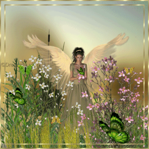  Angel Of The Butterflies