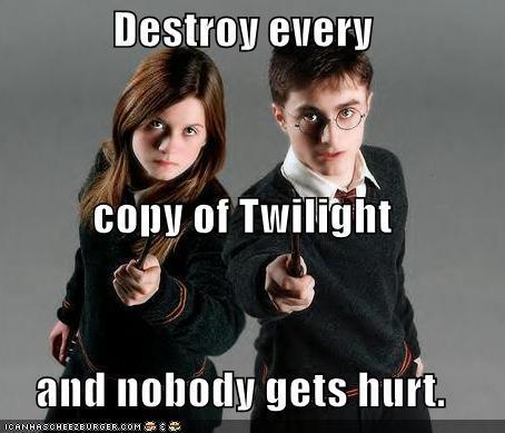  Give Them The Twilight Books