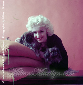 Marilyn - Marilyn Monroe Photo (12006523) - Fanpop