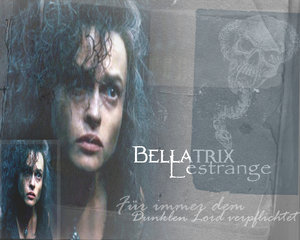  bellatrix
