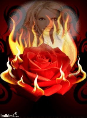 Roses on fire !!