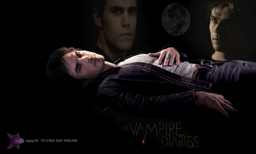  THE Vampire DIARIES