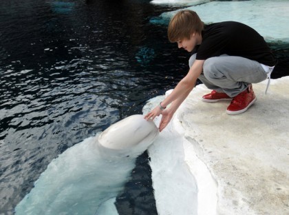 Justin Bieber and dolphin