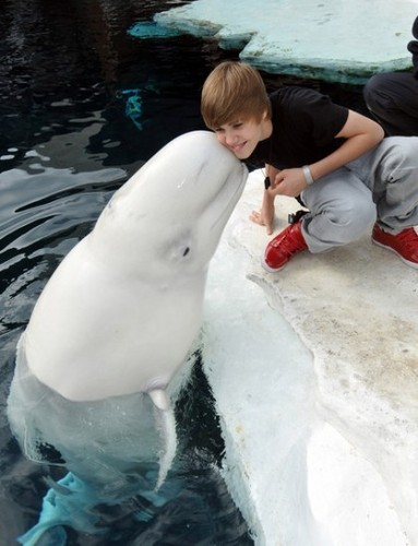  Justin Bieber and delfín