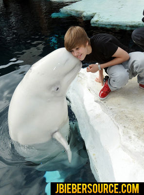  Justin Bieber in seaworld San diego