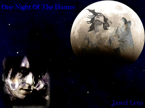  One Night Of The Hunter