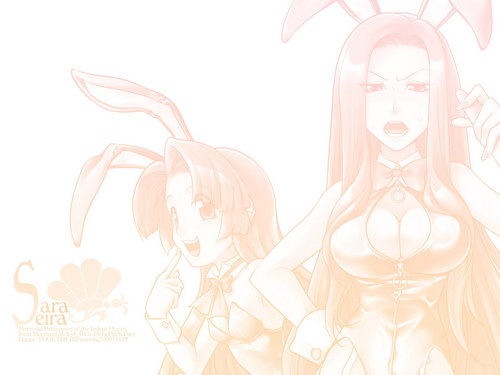 Seira & Sara Sexy Bunny